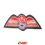 Badge-Security-Plastic-70-2.jpg