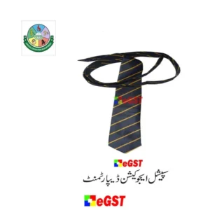 Special-Education-Tie-2